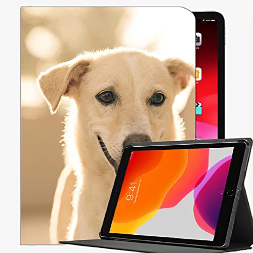 2. Leggero ma antiurto: la custodia sottile costruita con materiale ABS di qualità sul retro aggiunge un ingombro minimo proteggendo il tuo iPad abbastanza bene da cadute e graffi nell'uso quotidiano