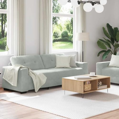 Qnhdfrt 2er und 3er Samtsofa Set klein hellgrau mit Breiten Armlehnen und Holz Metall Gestell Modernes Wohnzimmer Couchgarnitur für Living Room Gästezimmer Büro – Bild 4