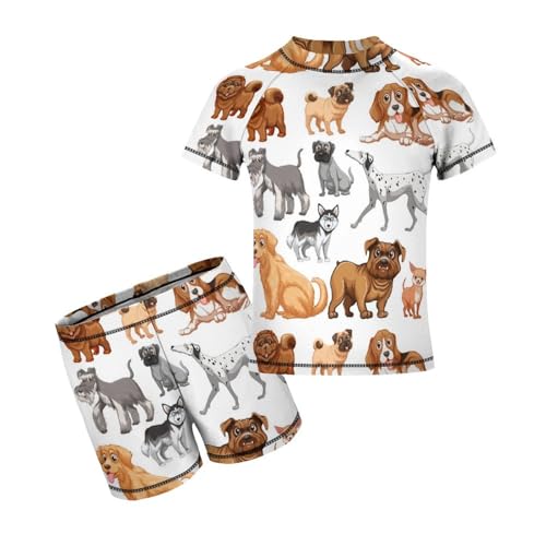 Many Cute Dogs of Different BreedsChildren's Swimsuits Boys Two Piece Suit8-10Y（130cm）