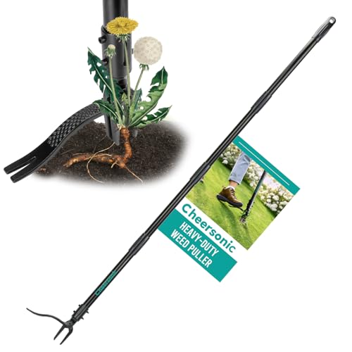 Best Lowes Grandpa’S Weeder