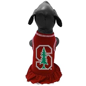 All Star Dogs Stanford Cheerleader Hundekleid Large