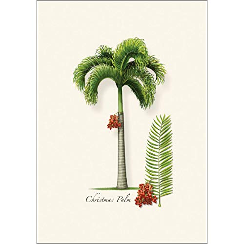 Image of Earth Sky + Water - Christmas Palm Notecard Set - 8 Blank Cards with Envelopes