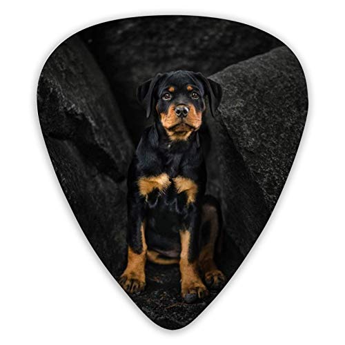 Médiators pour guitare Rottweilers Médiators pour ukulélé pour chiens 12 pièces dont 0,46 mm 0,71 mm 0,96 mm - Les Beatles, Paul McCartney, John Lennon, RIngo Starr, George Harrison Médiators pour guitare Rottweilers Médiators pour ukulélé pour chiens 12 pièces dont 0,46 mm 0,71 mm 0,96 mm