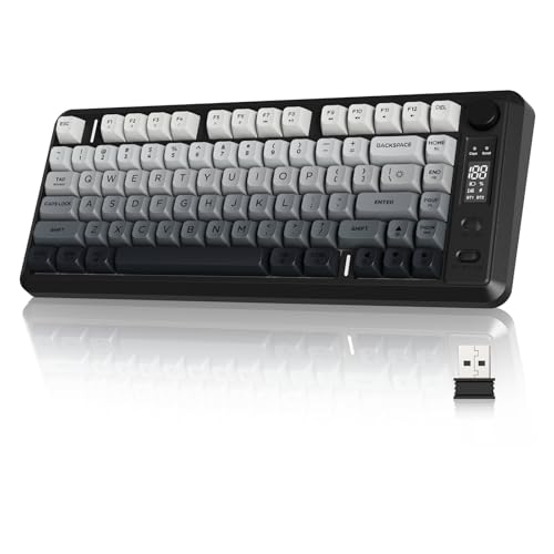 ZIYOU LANG M75 Wireless Gaming Keyboard, RGB Backlit...