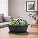MUZHI 3 Pack Mixed Size Oval Bonsai Planter Pot with Drainage Tray, Matte Finish Ellipse Plastic Bonsai Succulent Growing Pot for Home Garden Plant Container 9.1” 7.2” 5.2”