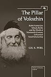 The Pillar of Volozhin: Rabbi Naftali Zvi Yehuda Berlin and the World of Nineteenth-Century Lithuanian Torah Scholarship (Studies in Orthodox Judaism)