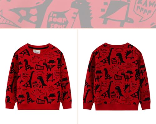 Boys Sweatshirts Casual Sweatshirts Cotton Sweatshirts Long Sleeve T-shirts Crew Neck Cartoon Tops for Boys-7434