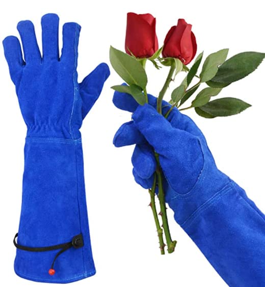 Kim Yuan Rose Pruning Gloves for Women Men Gardening Long Ladies Thorn Proof Garden Gloves (Large, Blue)