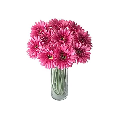 Yanyan 10 Pieces of Artificial Daisy Flower Gerbera Fake Flower Bouquet Wedding Holiday Party Garden Decoration (Dark Pink) Cover
