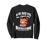 Idée cadeau panda roux gaming humoristique