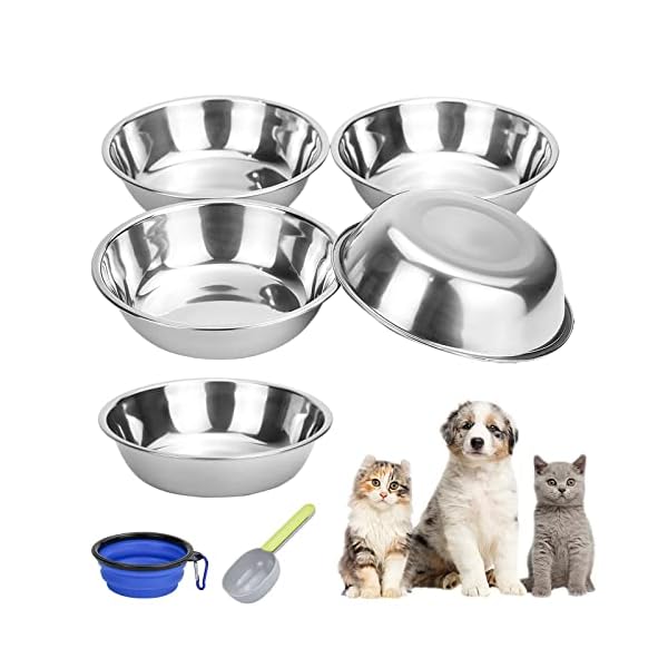 5 Stück Katzennäpfe, Edelstahl Katzennapf Futternapf Katze mit Löffel und Faltbarem Napf Fressnapf Futterschüssel Wasser Fütterung Schüssel, Ideal für Kleine Hunde und Katzen (5, 400ml)