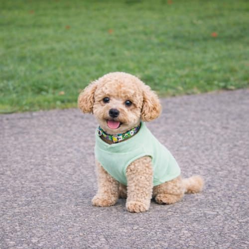 Image of JACKO & CO - Fleece Vest Sweater with Leash Ring - Soft Lightweight Breathable for Puppies Small Medium Dogs, Kitten, Cats, Chihuahua - Warm for Fall /Autumn /Winter (Mint Green, XX-Large 25-35lbs)