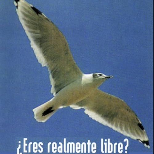 303. No eres tan libre como crees