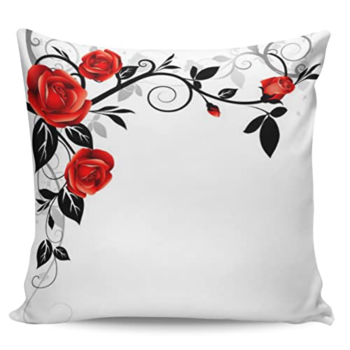 DIOWP ԂỏԂ̖P[Xzf[z[NbVJo[\t@Jo[(50x50cm)