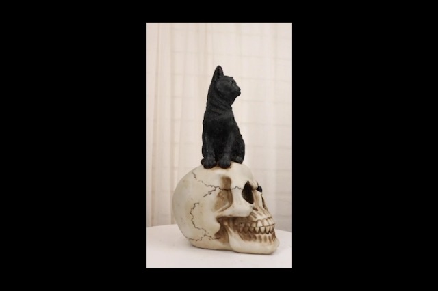 Amazon.com: Ebros Cat Witching Hour Witchcraft Black Feline