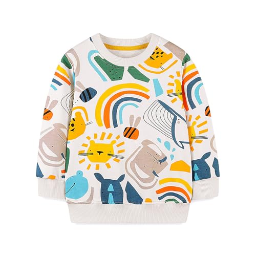 Boys Sweatshirts Casual Sweatshirts Cotton Sweatshirts Long Sleeve T-shirts Crew Neck Cartoon Tops for Boys-211