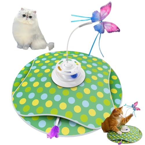 Lifetips �G�L�]�`�b�N�����O�w�A Exotic Longhair ���� �L����炵 �������� ��l�V�� �[�d�� 3���[�h �H�t�� �m��ߋ� �ԊO�����m �����p �É��݌v ���������Ή� ����Ԉ��S �X�g���X���� ��{�\�h�� �^���s������ ���S�݌v 