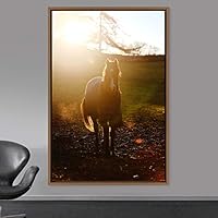 Framed Canvas Wall Art Horse Animals Dramatic Farmhouse/Country Horse Living Room Multicolor Photography - 16x24 inches