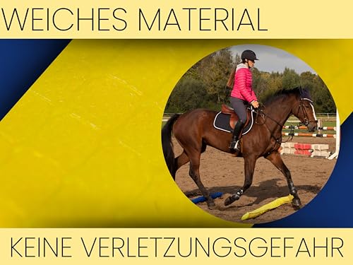 AMF Life Longier-Hilfe für Pferde, blau & gelb, 4 STK., 1,8m lang, Pferdeausbildung, Richtläufer, Bodenarbeitshindernis, Hindernis-Stangen