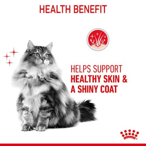 Royal Canin Hair & Skin Care Jelly | Doppelpack | 2 x 12 x 85 g | Alleinfuttermittel für Erwachsene Katzen | Stückchen in Gelee | Zur Unterstützung von Haut und Fell | Mit Omega-3