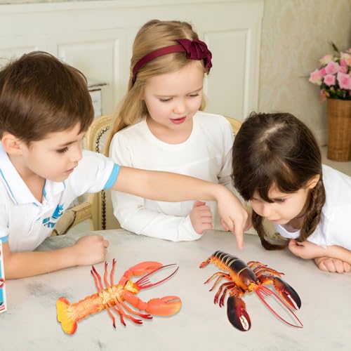 MOUNTTU Hummer-Spielzeug, 33 x 11, 4 cm, künstliche und lebensechte Hummer-Statue aus Kunststoff, Lernspielzeug, Geschenke für Kinder, Langusten aus Kunststoff