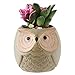 YLINGSU Gifts for Women,2.5 Inch Owl Succulent Plants Pots,Office Decor,Plant Pots Pack of 6 (12)