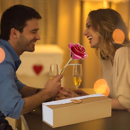Image of Mikasol Gold Dipped Real 24K Forever Preserved Rose, 1 Pack Infinity Flower Decor Hand Dipped Romantic Gift for Women in Her Wife Girlfriend Birthday Anniversary Valentines Mothers Day Christmas(Pink)