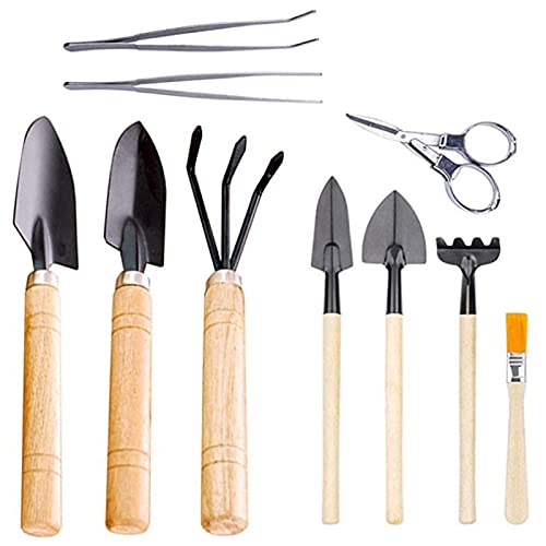Set de 10 Piezas Herramientas de Jardín SaferCCTV miniatura 1
