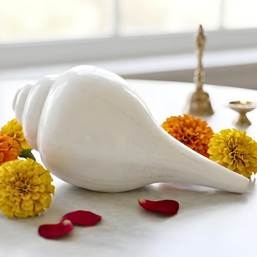 Image of Original Vishnu Shankh | Natural White Shankh /Sankha /Shankhu /Panchajanya Conch Shell for Pooja | Right-Handed Blowing Conch | Spiritual Decor | Vastu | Lakshmi & Vishnu Blessings (4-6 Inch)