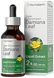 Horbaach Damiana Leaf Herb Liquid Extract | Alcohol Free | 2 fl oz | Vegetarian, Non-GMO & Gluten Free Tincture