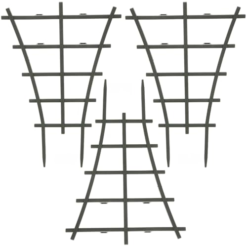 LABRIMP Apx K[fgX ؃P[WX^h s[} LE uhE͔| ƒ؉ ƗpK[fT|[g 3Zb