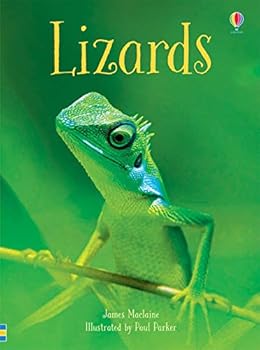 Hardcover Lizards Book