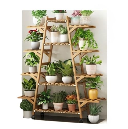 ���F�K�i��Fiozwea���w���̐A���̋ߑ�I�ȕs�K���ȗ����̃t�B�I�Y�E�B�A�I�̎ԗւ̖؂̃��r���O�~�̗͂΂̐A���̉Ԃ̃X�^���h�̊K�i�̉Ԃ̃X�^���h (���F�v�[��,12�w)