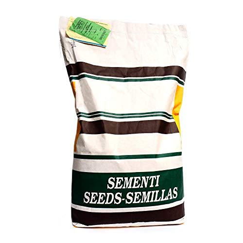 Césped para caballos | Alfombra Erboso | El campesino (10 kg) Cover