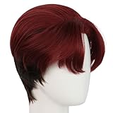Soyusunny Mioda Ibuki Cosplay Wig Costume Halloween Wigs for Women Men (Multicolor)