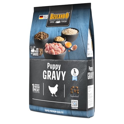 BELCANDO Puppy Gravy [4 kg] Welpenfutter | Trockenfutter für Welpen | Alleinfuttermittel für Welpen bis 4 Monate