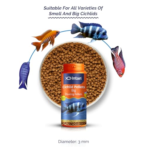 Growel-Intan-Cichlid-Pellets-Big-3mm-Floating-165gm-Highly-Nutritious-Ornamental-Fish-Food-for-all-varieties-of-Small-Big-Cichlids