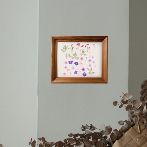 Set de Flores Secas Naturales y Prensadas 27pcs DIY miniatura 5