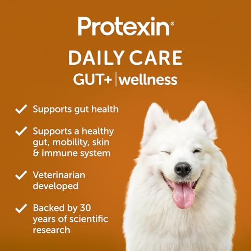 Daily Care Gut+ Wellness, 60 probiotic and postbiotic Dog Supplement Chews – Duck and Carrot Flavored Daily Care Gut+ Wellness, 60 probiotic and postbiotic Dog Supplement Chews – Duck and Carrot Flavored