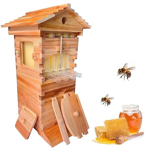 Kit complet de ruche pour apiculture avec cadres en bois durables et stables
