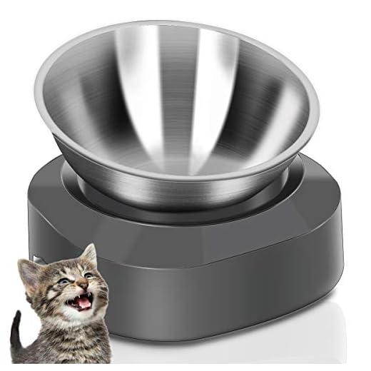 AYADA Raised Cat Food Bowl, Stainless Steel Cat Dish for Food Water Anti Vomiting Elevated with Stand Ergonomic Lifted Slanted Tilted 15 Angle Metal Single Kitty Kitten Wet Food Bowl Pet Bowl (Single)