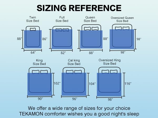 TEKAMON All Season Queen Comforter Winter Warm Soft Quilted Down Alternative Duvet Insert with Corner Tabs, Fluffy Reversible Collection for Hotel, Snow White, 88 x 88 inches