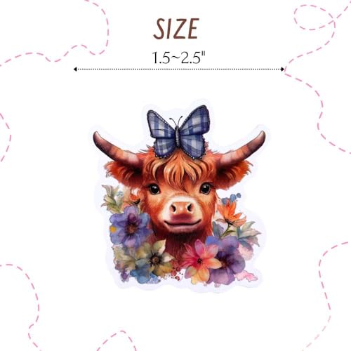 Imanes Decorativos de Vacas Highland Paquete 8 Piezas miniatura 3