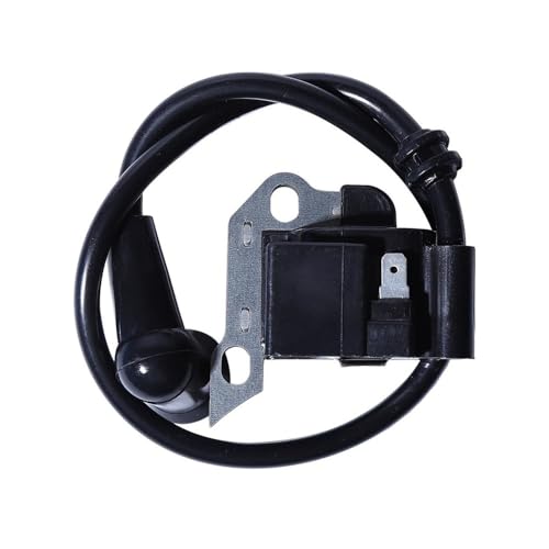 Bobine d'allumage pour BR320 BR340 BR340L BR380 BR420C SR340 SR420 42034001301