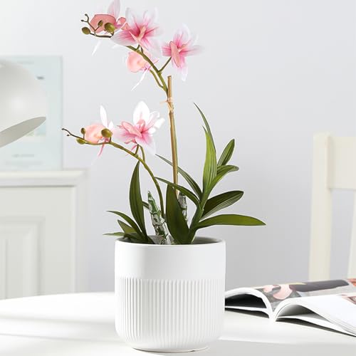 Pot de fleur en céramique minimaliste moderne pour salon et balcon - 7
