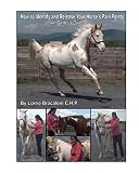 How to Identify and Release Your Horse's Pain Points: An Owner's Guide
