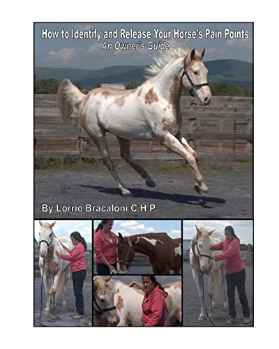 How to Identify and Release Your Horse's Pain Points: An Owner's Guide