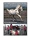 How to Identify and Release Your Horse's Pain Points: An Owner's Guide