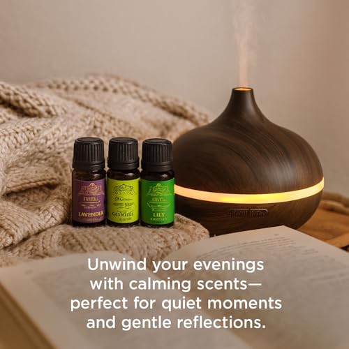 Image of Signamio 3 Pcs Essential Oil Set - Premium Reed Diffuser Fragrance Aroma Oil Collection for Home & Office - Long-Lasting Scented Essential Oil Blends for Relaxation & Wellness Lavender /Jasmine /Lily