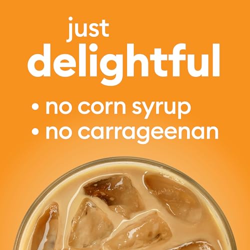 International Delight Caramel Macchiato Iced Coffee
